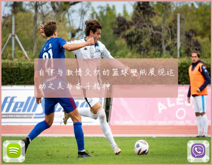 自律与激情交织的篮球壁纸展现运动之美与奋斗精神