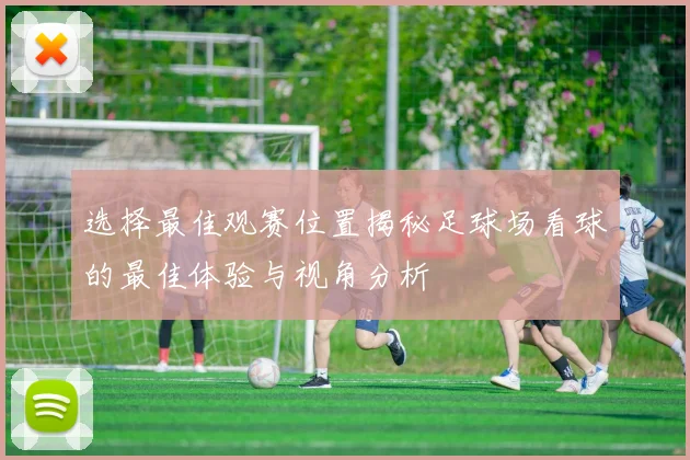 选择最佳观赛位置揭秘足球场看球的最佳体验与视角分析